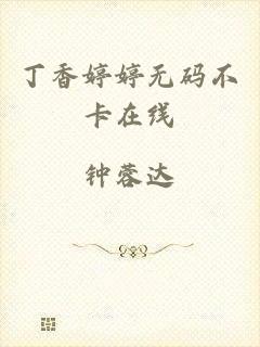 丁香婷婷无码不卡在线