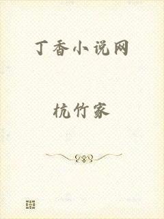 丁香小说网