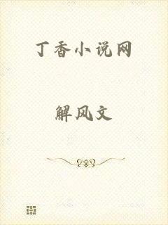 丁香小说网