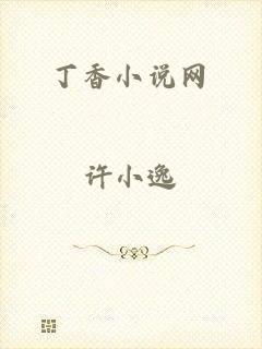 丁香小说网
