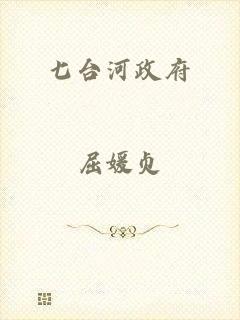七台河政府