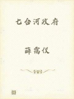 七台河政府