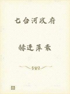 七台河政府