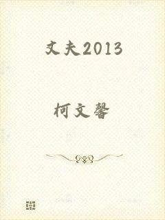 丈夫2013