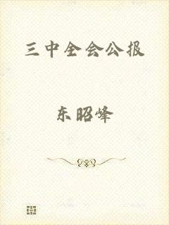 三中全会公报