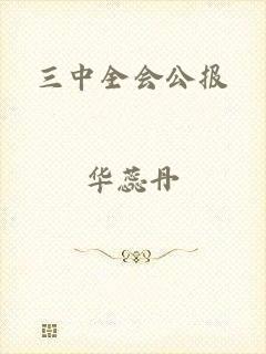 三中全会公报