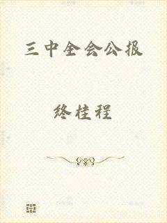 三中全会公报