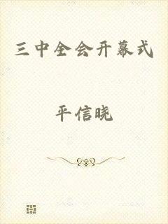 三中全会开幕式