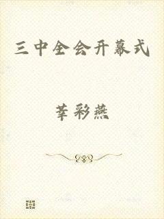 三中全会开幕式