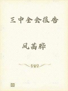 三中全会报告