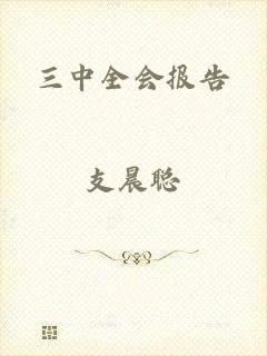 三中全会报告