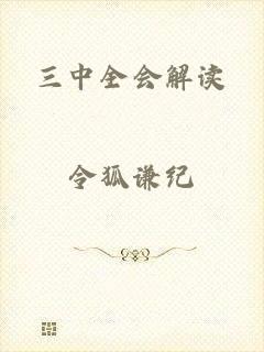 三中全会解读