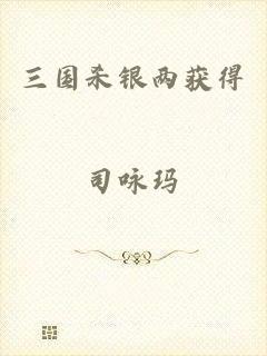 三国杀银两获得