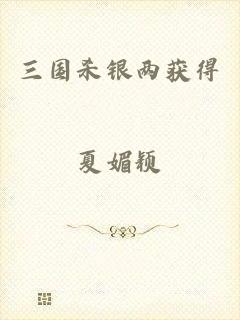 三国杀银两获得