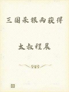 三国杀银两获得