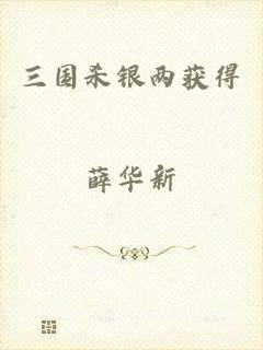 三国杀银两获得