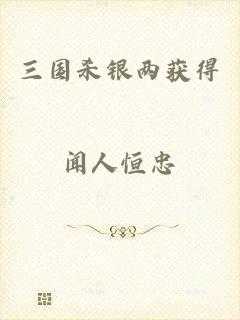 三国杀银两获得