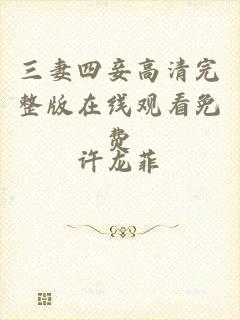 三妻四妾高清完整版在线观看免费