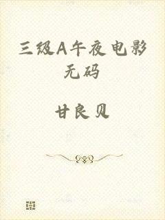 三级A午夜电影无码