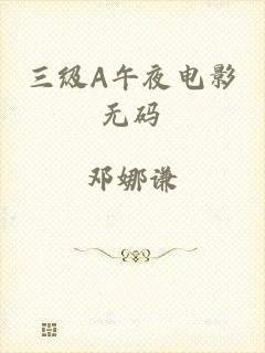 三级A午夜电影无码