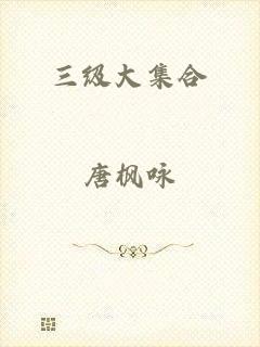 三级大集合