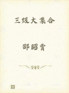 三级大集合