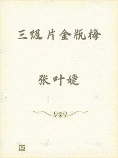 三级片金瓶梅