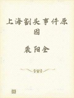 上海割头事件原因