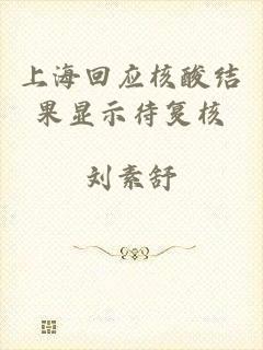 上海回应核酸结果显示待复核