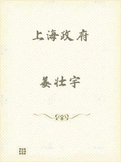 上海政府