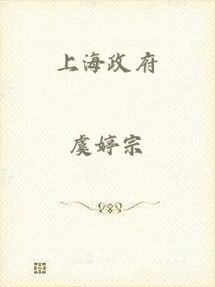 上海政府