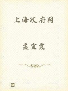 上海政府网