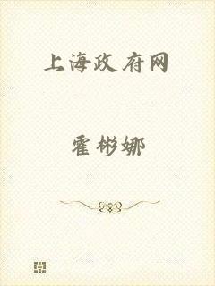 上海政府网