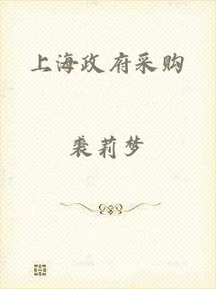 上海政府采购