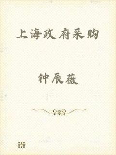 上海政府采购