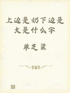上边是奶下边是大是什么字