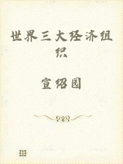 世界三大经济组织