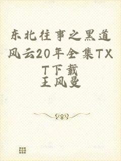 东北往事之黑道风云20年全集TXT下载