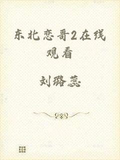 东北恋哥2在线观看
