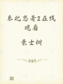 东北恋哥2在线观看