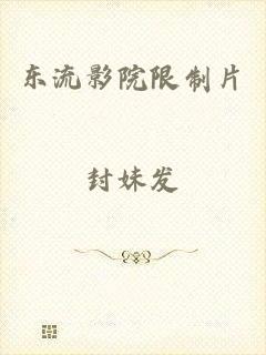 东流影院限制片