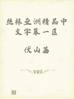 丝袜亚洲精品中文字幕一区