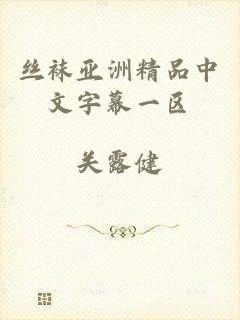 丝袜亚洲精品中文字幕一区