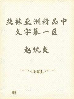 丝袜亚洲精品中文字幕一区