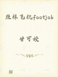 丝袜飞机footjob