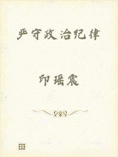 严守政治纪律