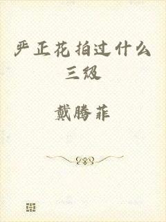 严正花拍过什么三级
