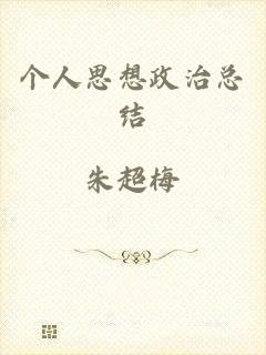 个人思想政治总结