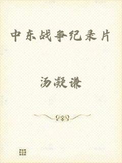 中东战争纪录片