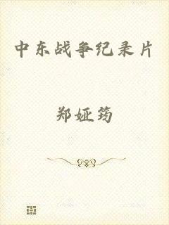 中东战争纪录片